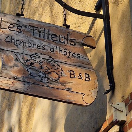 Les Tilleuls Neung-sur-Beuvron Екстер'єр фото